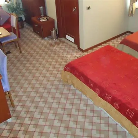 Hotel Grand Merin Airport 3*