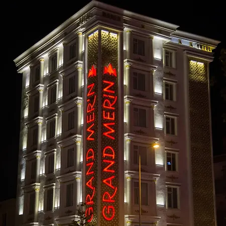 Hotel Grand Merin Airport 3*