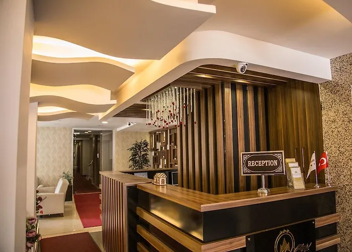 Grand Merin Airport Hotel 3*