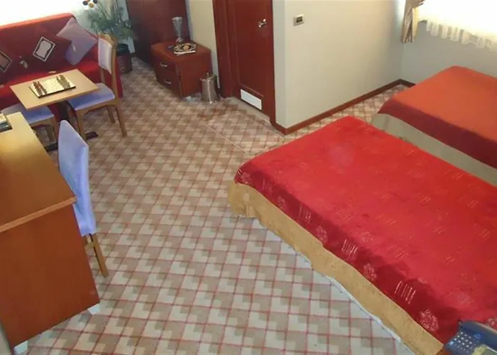 ホテル Grand Merin Airport 3*