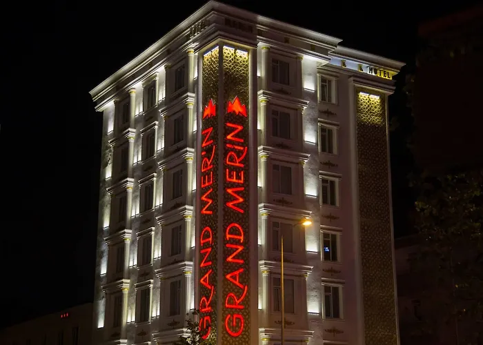 Hotel Grand Merin Airport 3*